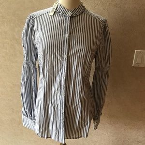 Max Studio dress button down shirt